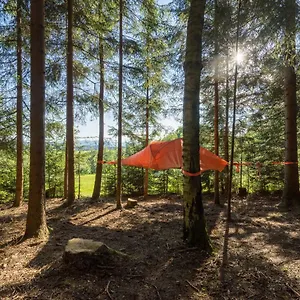 Baumzelt Am Waldesrand Luxuszelt